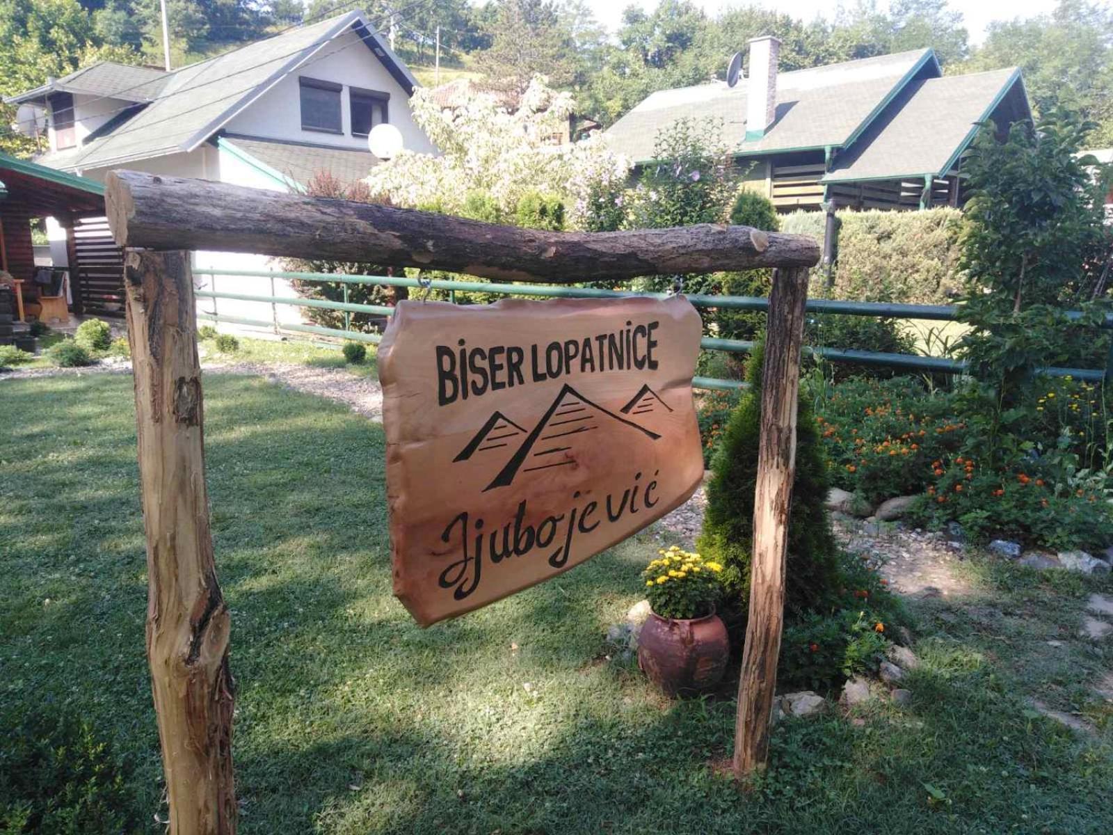 Holiday Homes Biser Lopatnice Lopatnica Exterior photo